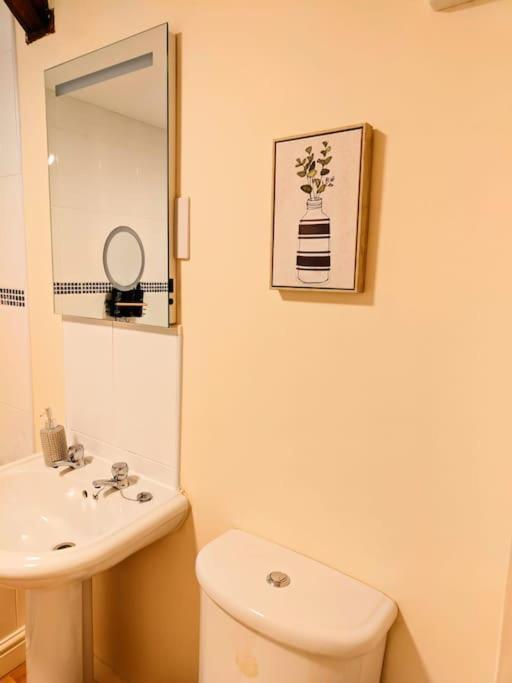Cosy Central Modern Apartment 南特威奇 外观 照片
